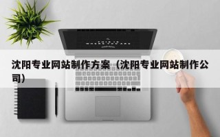 云浮沈阳专业网站制作方案（沈阳专业网站制作公司）